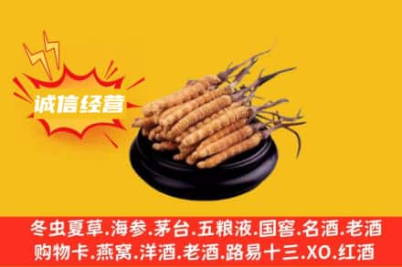 延安宝塔区回收冬虫夏草